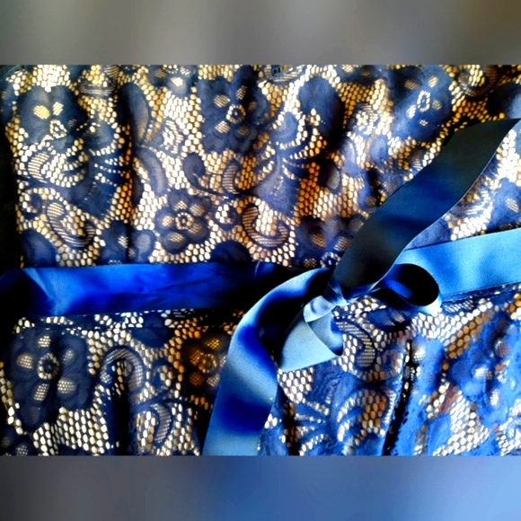 JADE WOMEN'S/MISSES SIZE LARGE DRESS DARK MIDNIGHT BLUE LACE TAN LINING NWOT - Picture 6 of 13